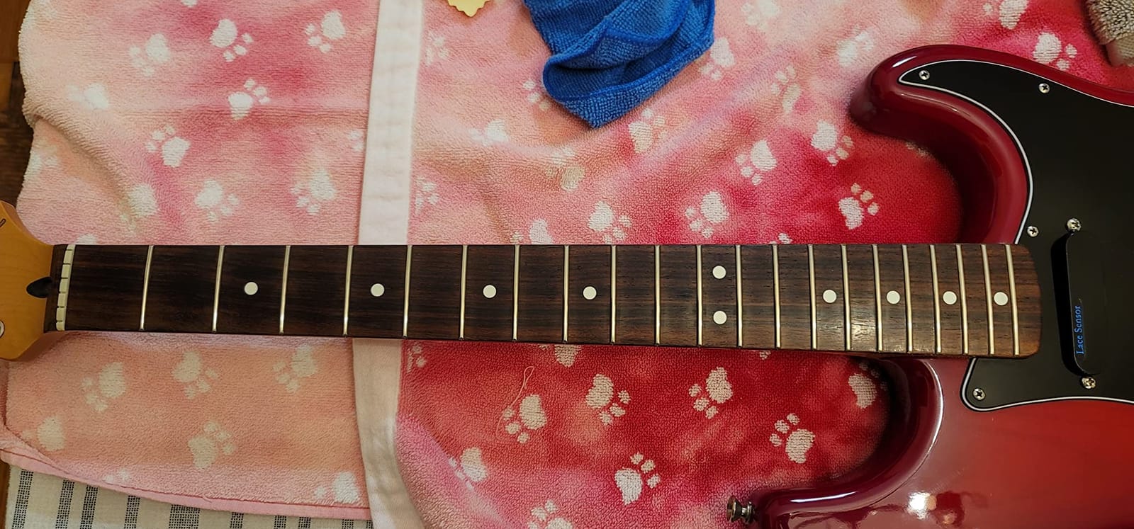 Dunlop System 65 Guitar Maintenance Kit customer photo 2