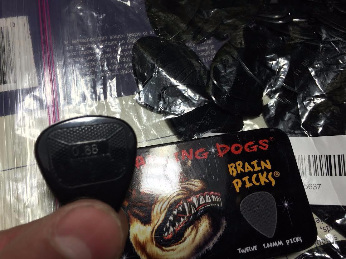 D'Andrea Snarling Dog Brain Nylon Guitar Picks 12 Pack with Tin Box (Grey, 1.00mm) customer photo 1