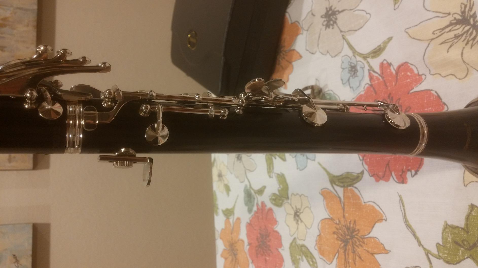 Hisonic Signature Series 2610 Bb Orchestra Clarinet with Case customer photo 2