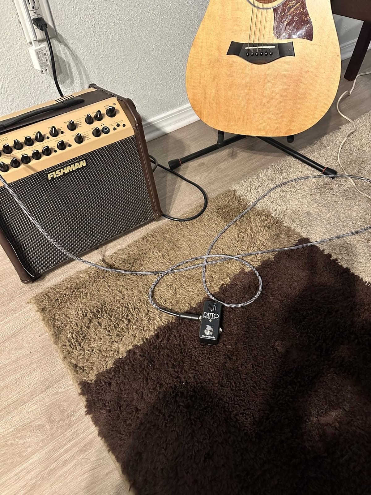 TC Electronic DITTO LOOPER Highly Intuitive Looper Pedal with 5 Minutes of Looping Time, Analog-Dry-Through and True Bypass customer photo 2