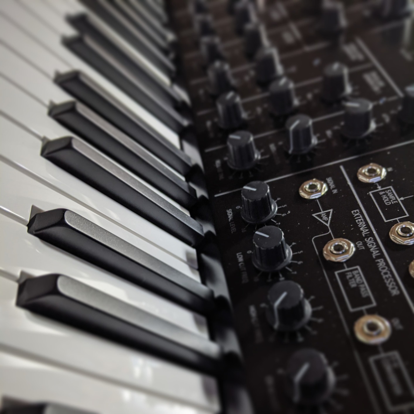 Korg MS20 Mini Semi-Modular Analog Synthesizer (MS20MINI), MultiColored, M customer photo 2