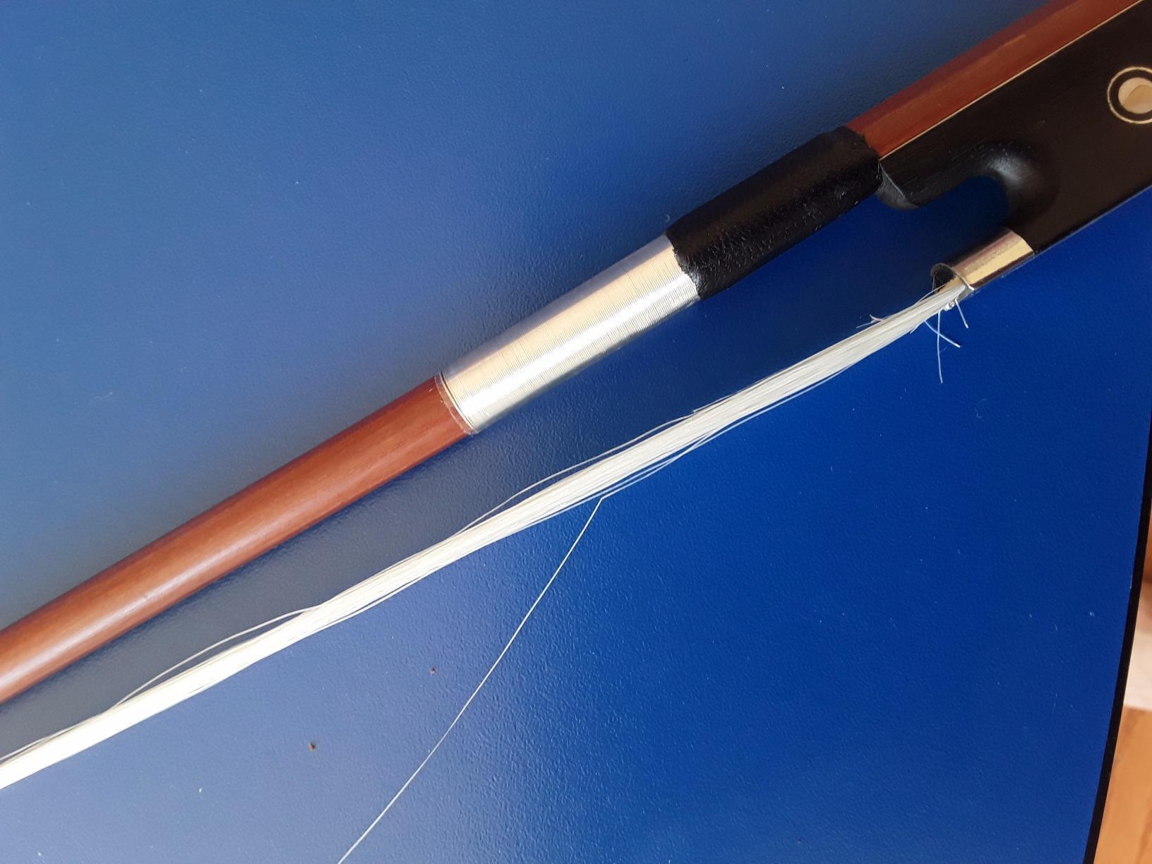 Cecilio CVA-500 Solidwood Ebony Fitted Viola with D'Addario Prelude Strings - 15.5-Inch Viola for Beginners and Professionals customer photo 1