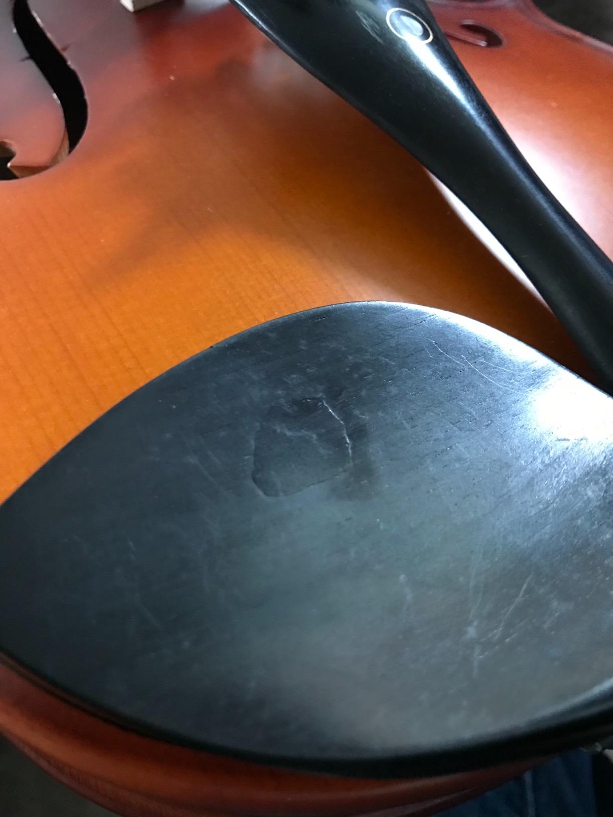 Cecilio Solid Wood Viola 16 Inch Viola Full Size, Professional Handcrafted Acoustic Viola with Ebony Fittings, D'Addario Prelude Strings, Antique Satin Finish customer photo 1