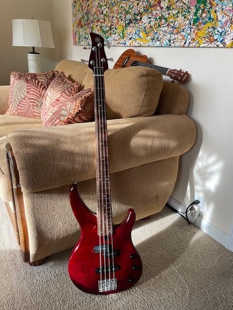 Yamaha TRBX174 RM 4-String Electric Bass Guitar customer photo 1