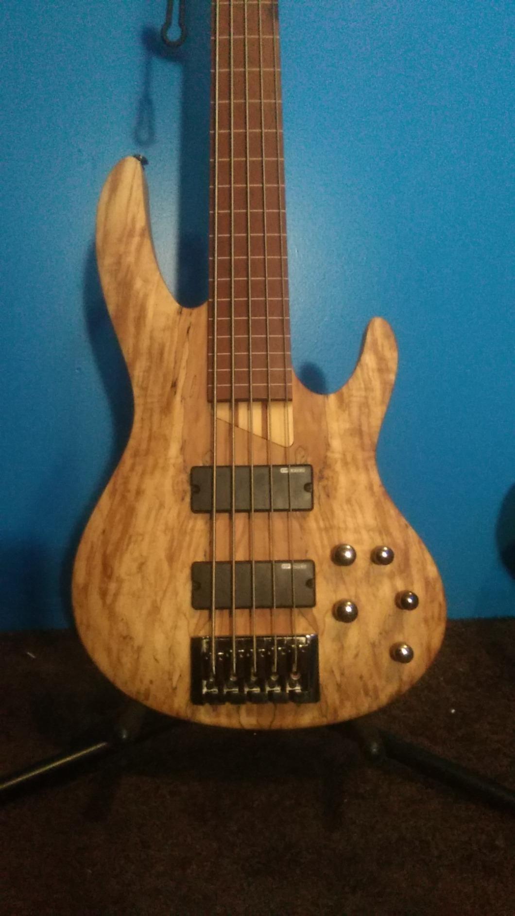 ESP LTD B-205SM Fretless - Natural Satin customer photo 2