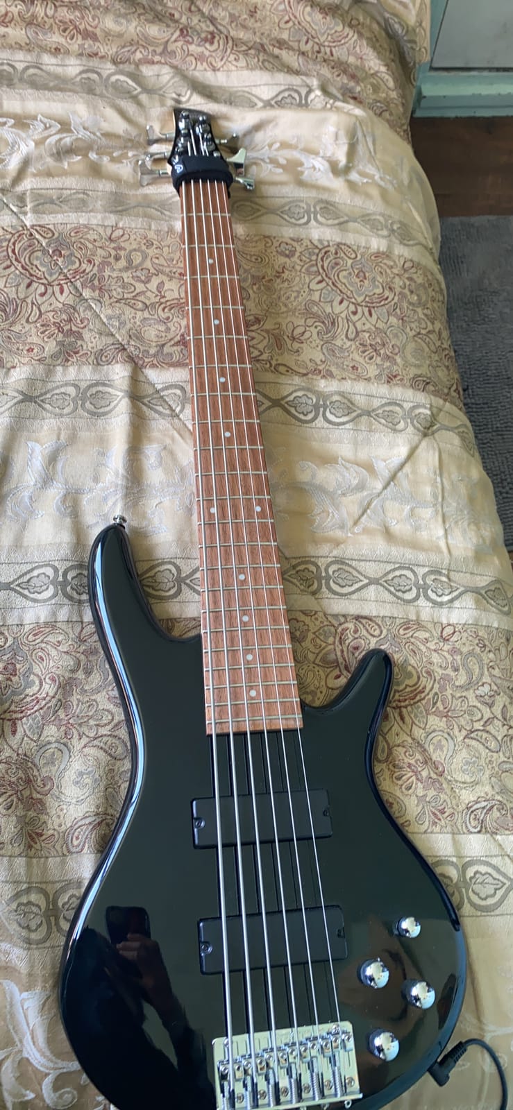 Ibanez GSR206BWNF - Walnut Flat customer photo 1