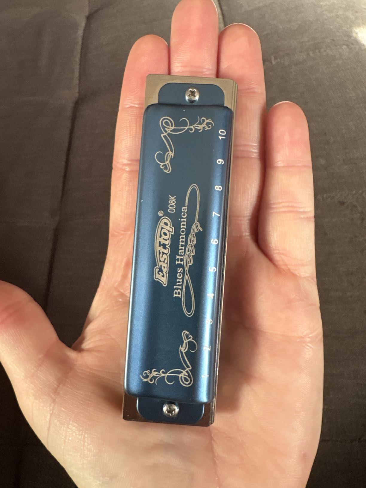 East top Harmonica Key of C, 10 Holes 008K Diatonic Mouth Organ with Blue Case, Standard Harmonica For Adults, Professionals, Beginners and Students, as a Gift customer photo 2