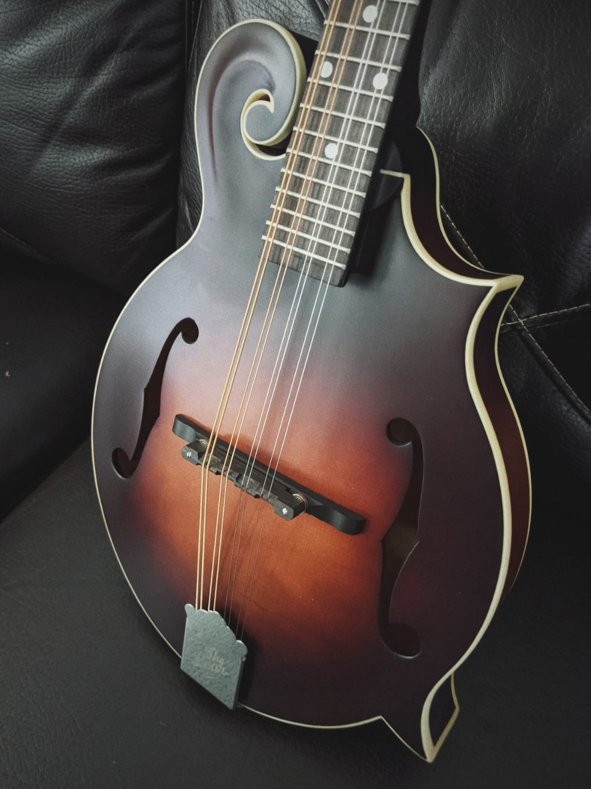 The Loar LM-310F-BRB Honey Creek F-Style Mandolin customer photo 1