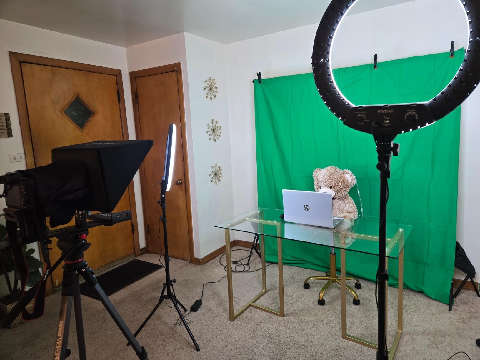 EMART Green Screen Backdrop Kit, 8.5x10FT Stand with 10x12FT Backdrop customer photo 2
