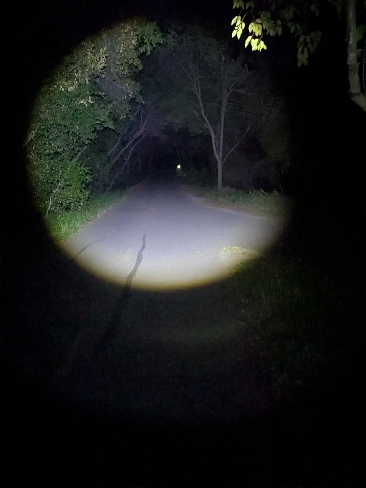 Headlamp. USB Rechargeable LED Head Lamp. Ultra Bright LUMINUS 1080 Lumen Headlamp Flashlight + Red Light. HeadLamps for Adults, Camping, Outdoors & Hard Hat Light. Zoomable IP54 Headlight customer photo 2
