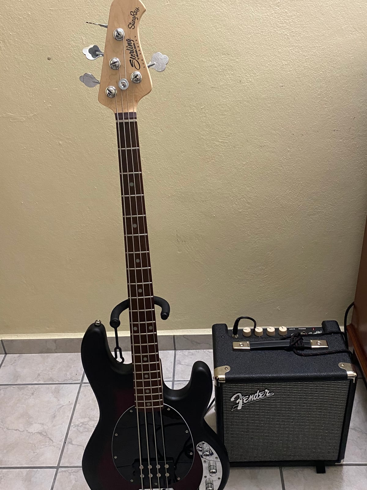 Sterling by Music Man StingRay Ray4 Bass Guitar in Walnut Satin customer photo 1