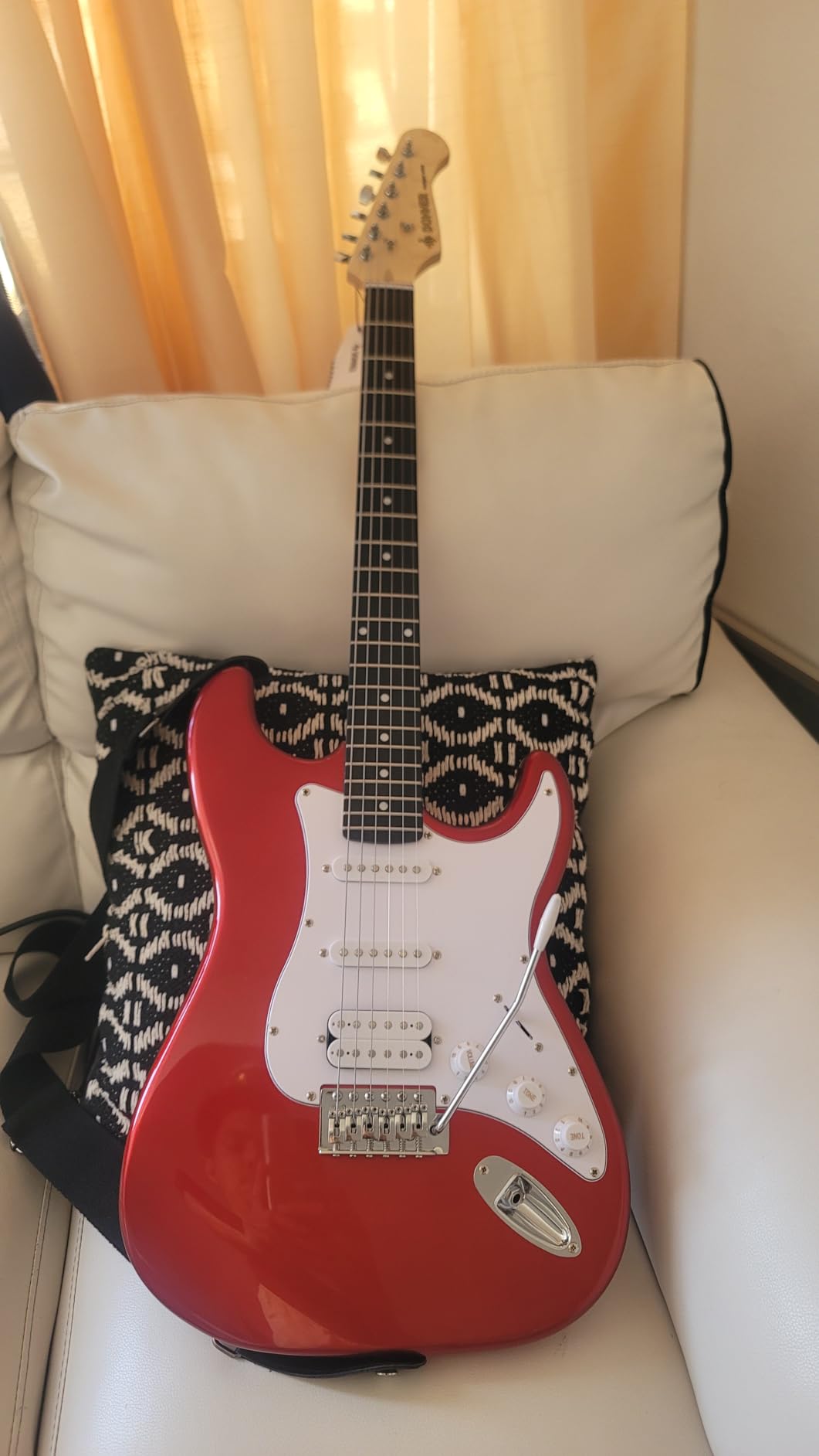 Donner DST-100S 39 Inch Full Size Electric Guitar Kit customer photo 2
