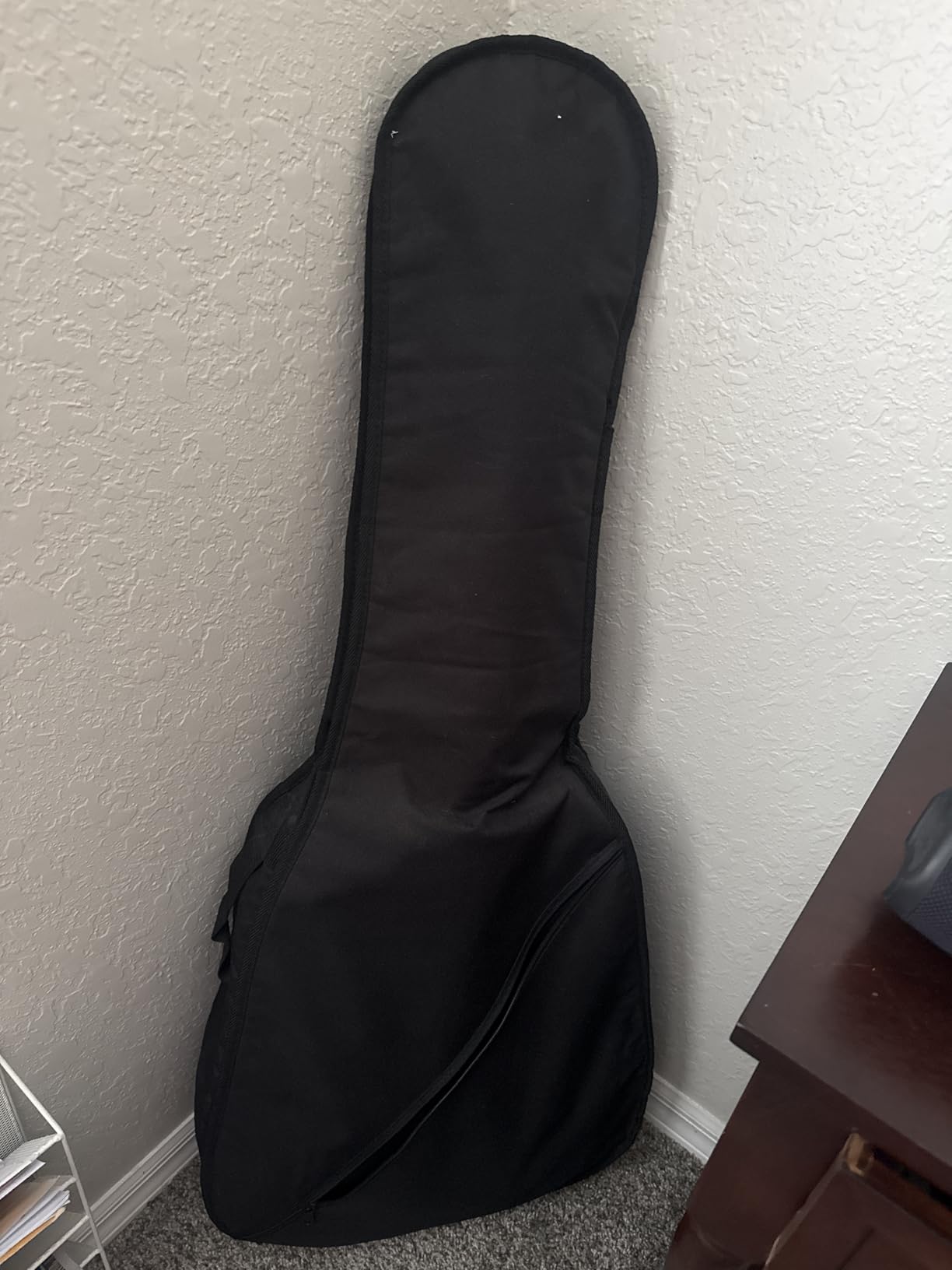 Wayfinder Standard Lightweight Electric Guitar Gig Bag (WF-GB-ELEC) customer photo 2