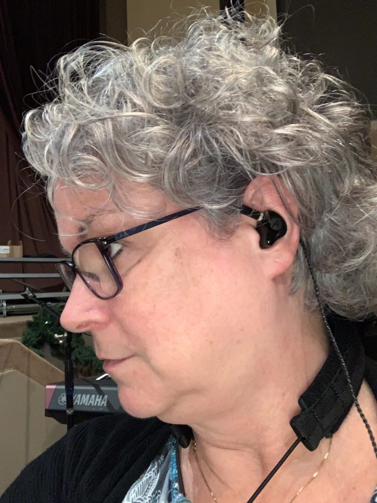 Dual Dynamic Driver IEM Earphones, HiFi Stereo In Ear Monitor Headphones customer photo 1