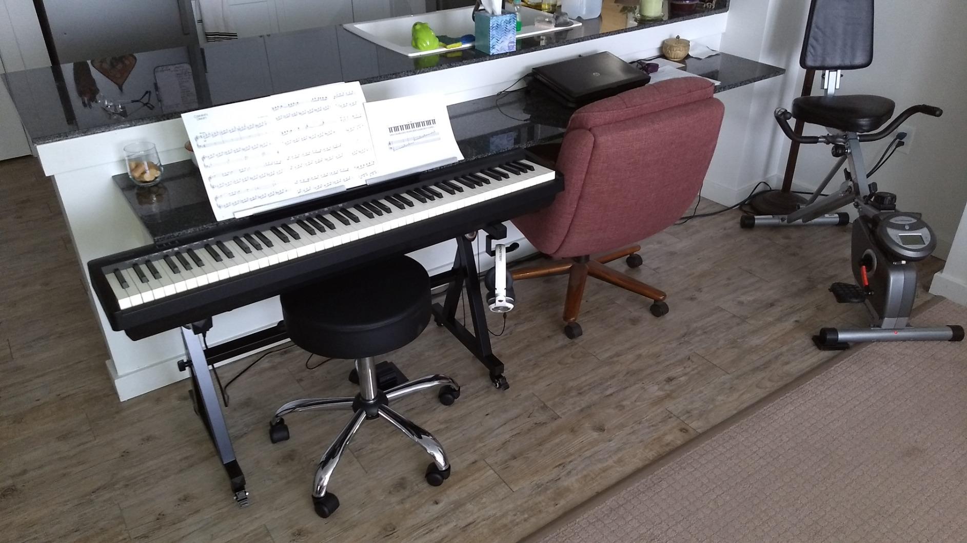 Roland FP-10 Compact 88-Note Digital Piano customer photo 2