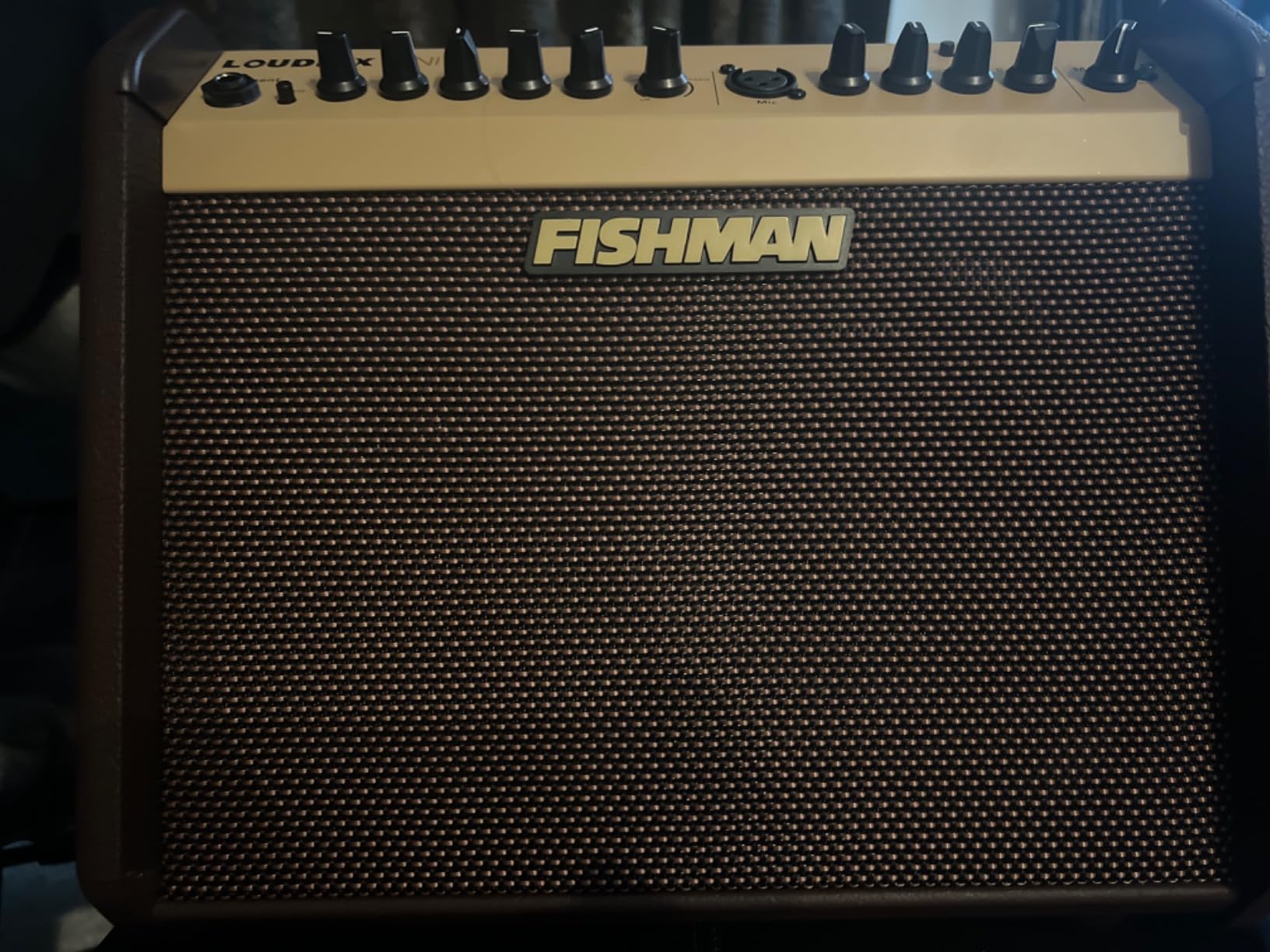 Fishman Acoustic Guitar Amplifier (PRO-LBT-500) Brown customer photo 1
