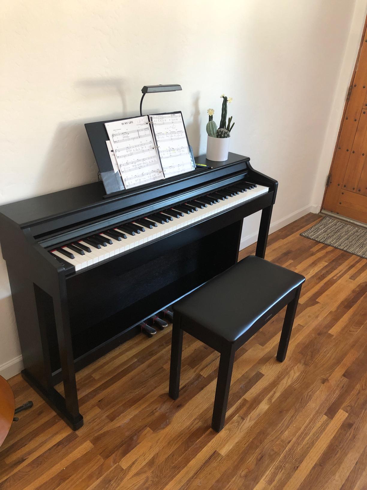 Donner DDP-100 88-Key Weighted Action Digital Piano for Beginner Bundle with Piano Keyboard Stand, Power Adapter, Triple Pedals, MP3 Function, USB-MIDI, 2 Headphone Jacks Black customer photo 2