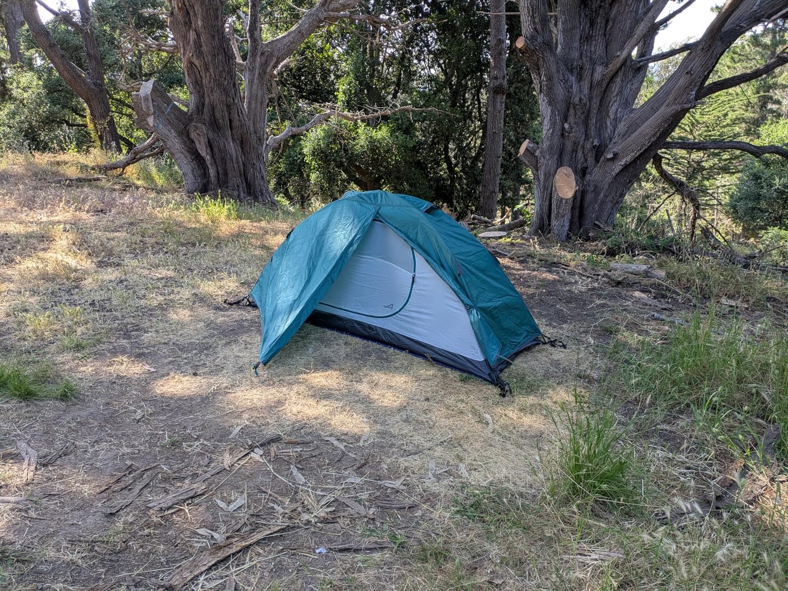 ALPS Mountaineering Backpacking-Tents Lynx 1 customer photo 1