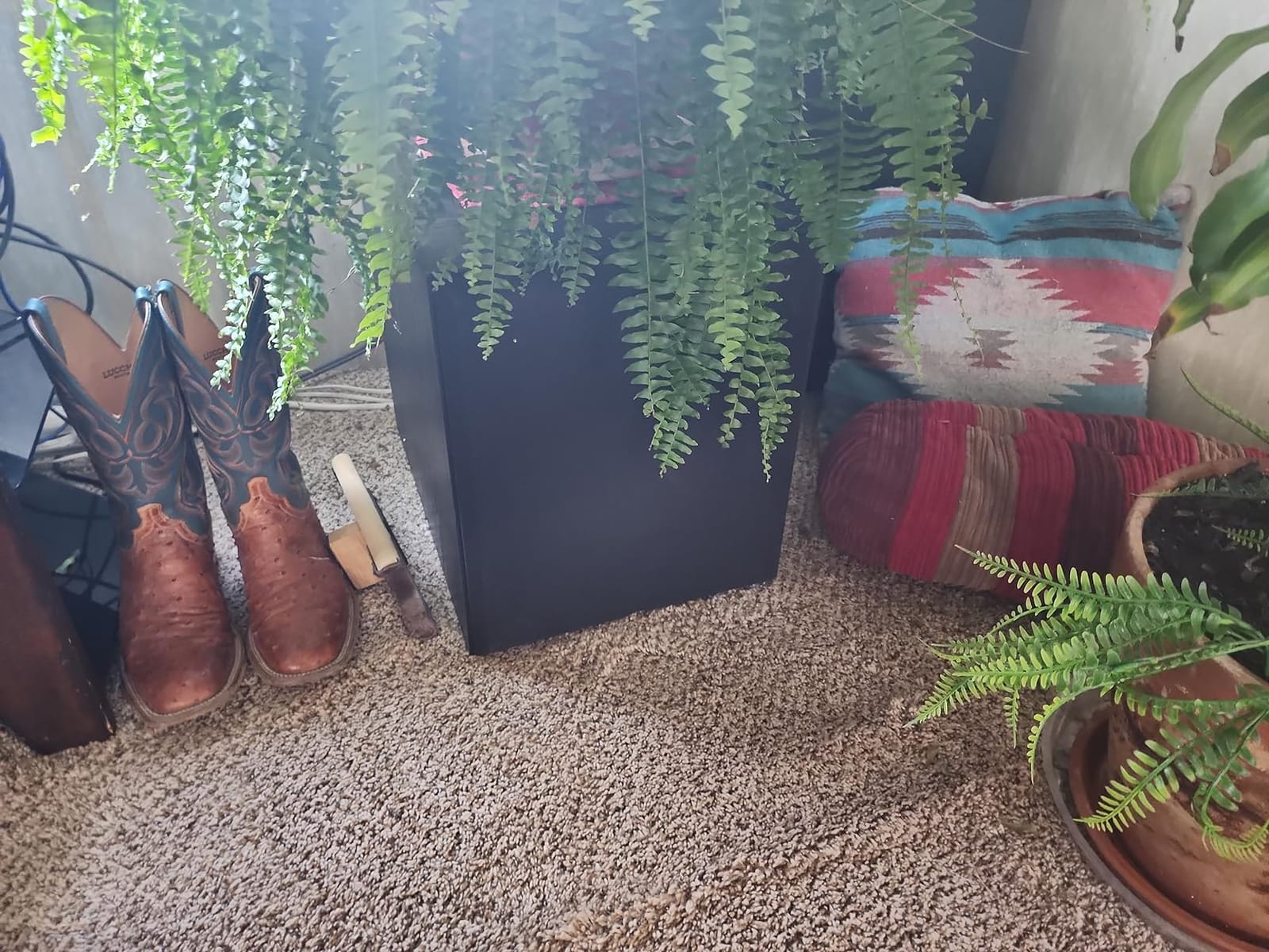 Klipsch Synergy Black Label Sub-120 12” Front-Firing Subwoofer with 200 Watts of continuous & 400 watts of Dynamic Power, and Digital Amplifier for Powerful Home Theater Bass in Black customer photo 1