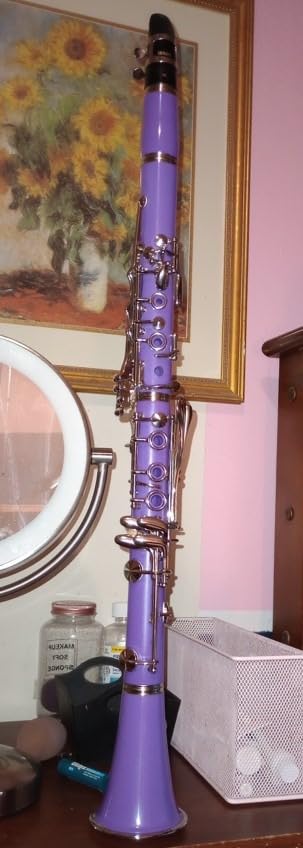 Bb Clarinet 17 Keys Flat B Clarinet for Beginners & Students Black customer photo 2