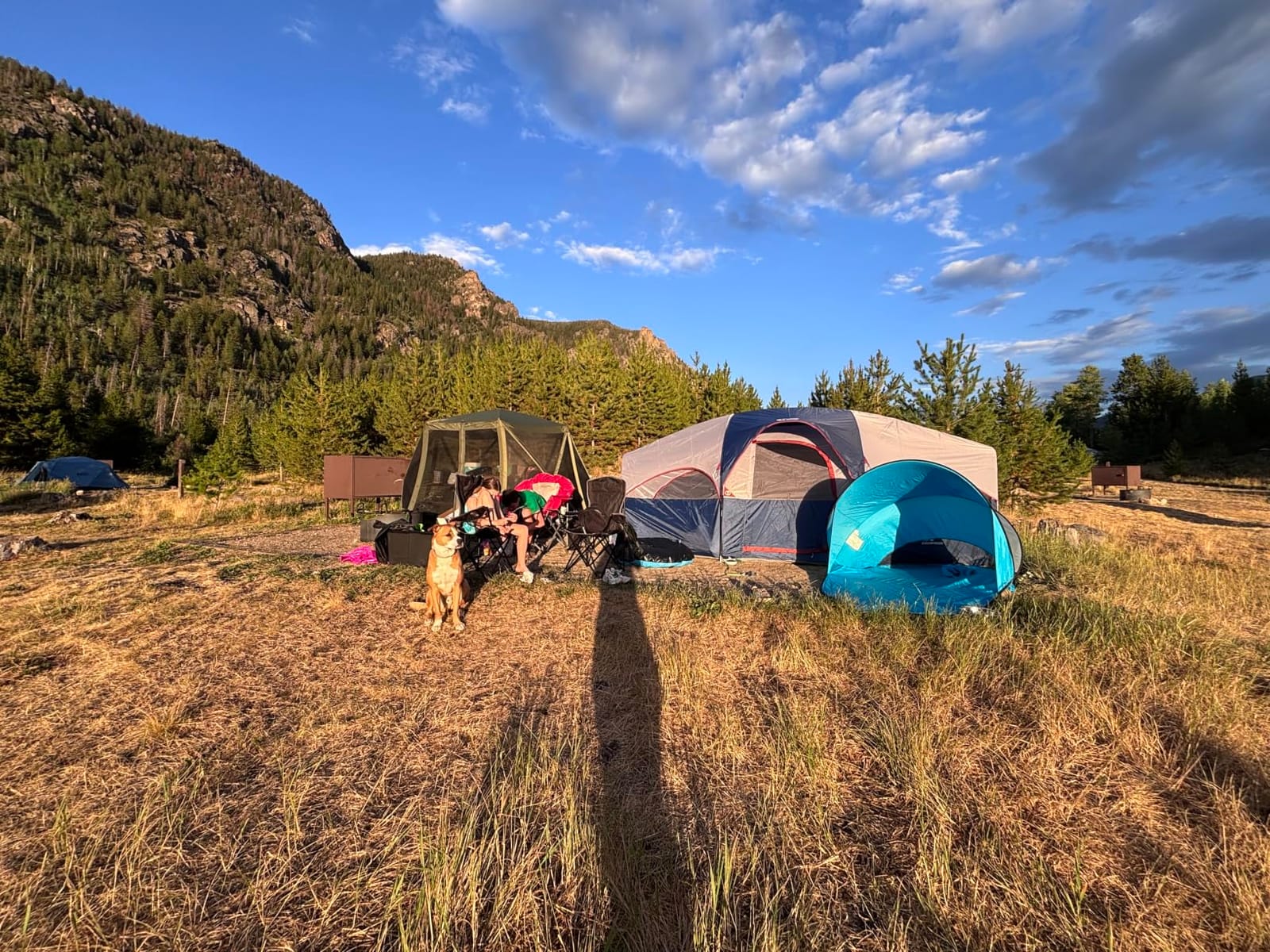 CAMPROS CP 8 Person Camping Tent, Room Divider, Rainfly, Weather Resistant customer photo 2