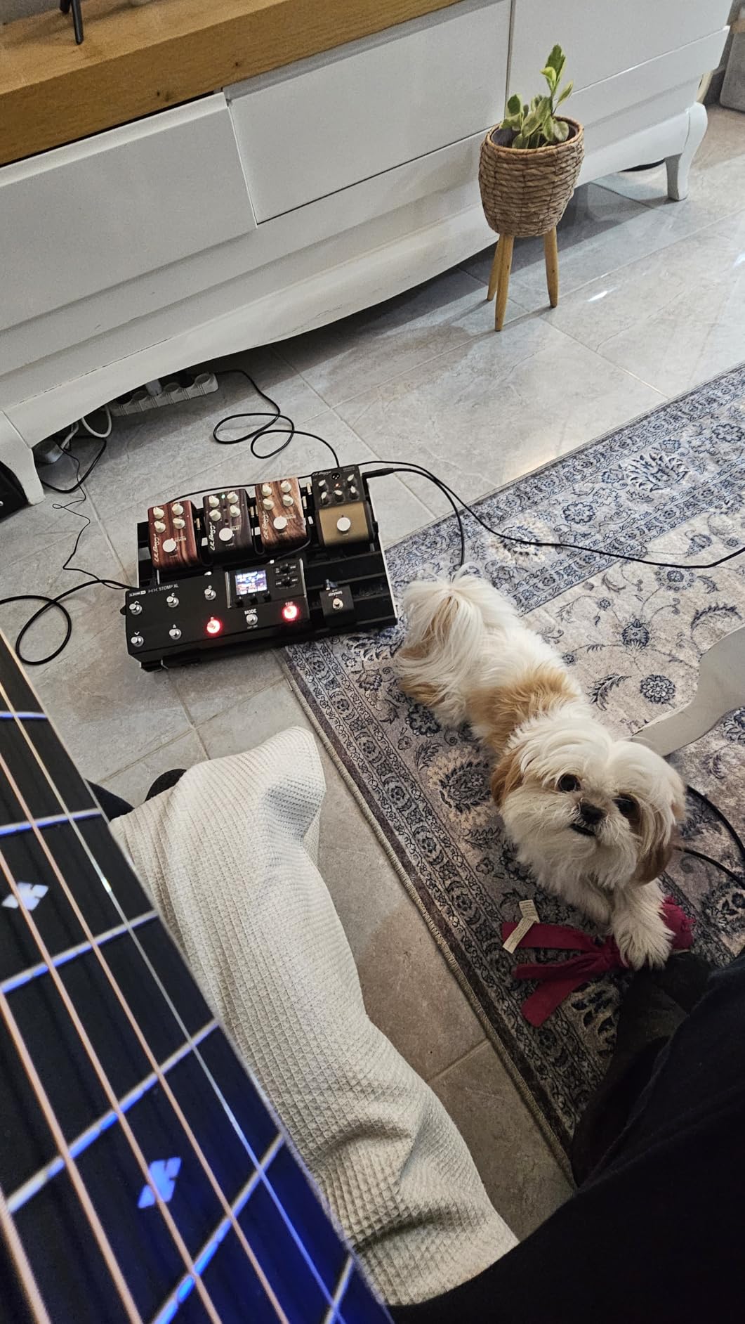 Line 6 HX Stomp XL customer photo 2