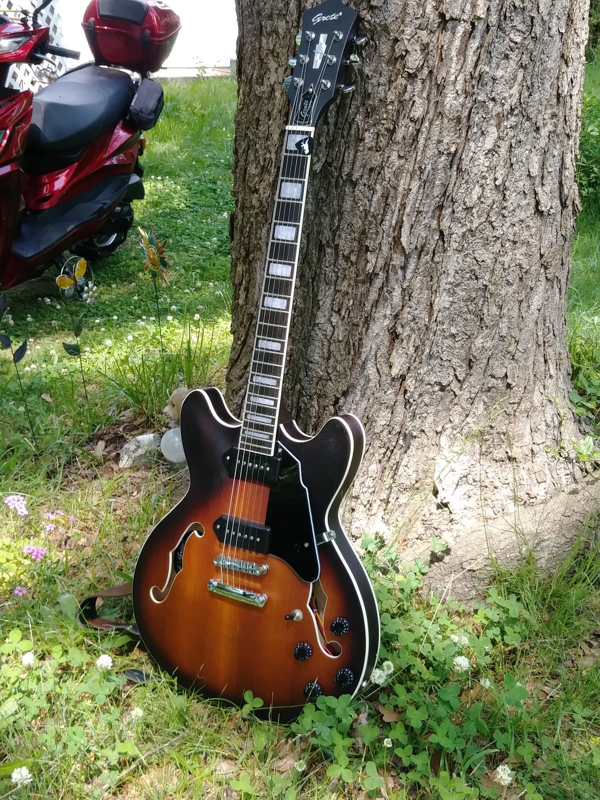 GROTE Electric Guitar Semi-Hollow Body Guitar matte finished P90 Pickups (Green) customer photo 1