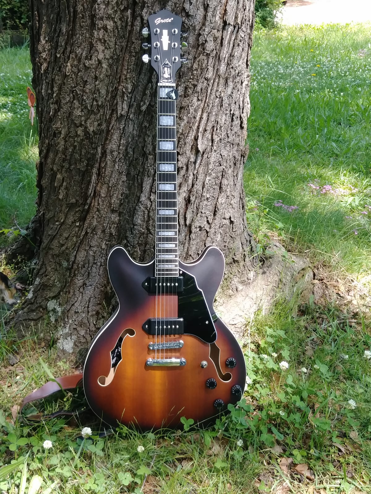 GROTE Electric Guitar Semi-Hollow Body Guitar matte finished P90 Pickups (Green) customer photo 2