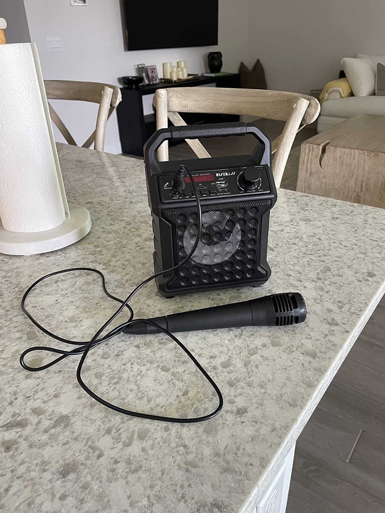 Risebass Karaoke Bluetooth Party Speaker with Microphone – Portable Wireless Karaoke Machine for Indoor/Outdoor Parties – Loud Speaker for Thanksgiving or Christmas – SD, AUX, USB customer photo 2