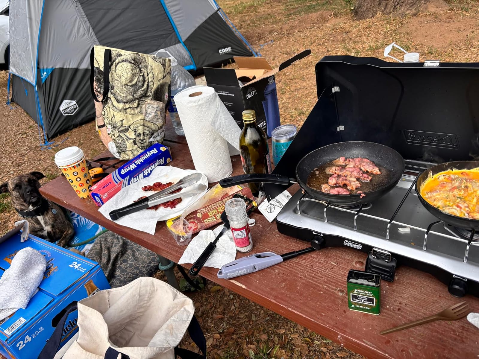 Coleman Triton 2-Burner Propane Stove, Portable Camping Cooktop customer photo 2