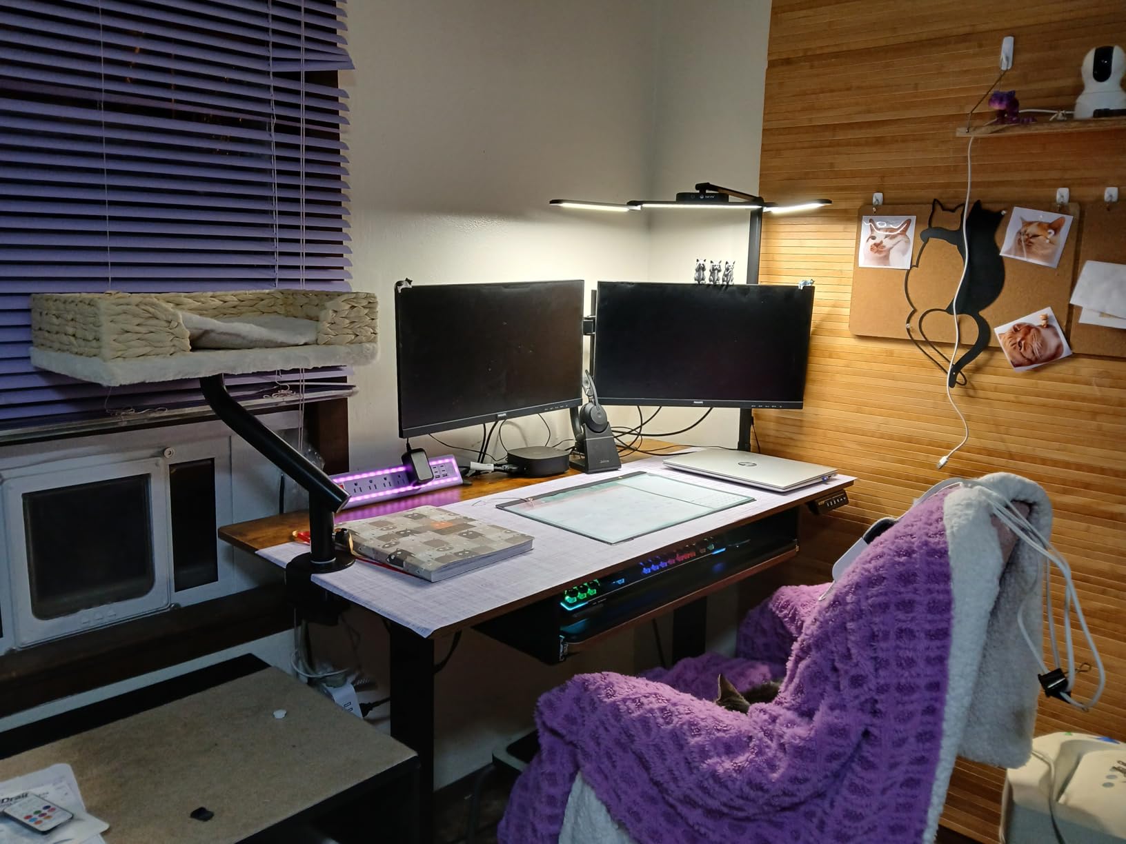 ErGear Electric Standing Desk with Keyboard Tray, 55x28 Inches Adjustable Height Sit Stand Up Desk, Home Office Desk Computer Workstation, Black customer photo 2