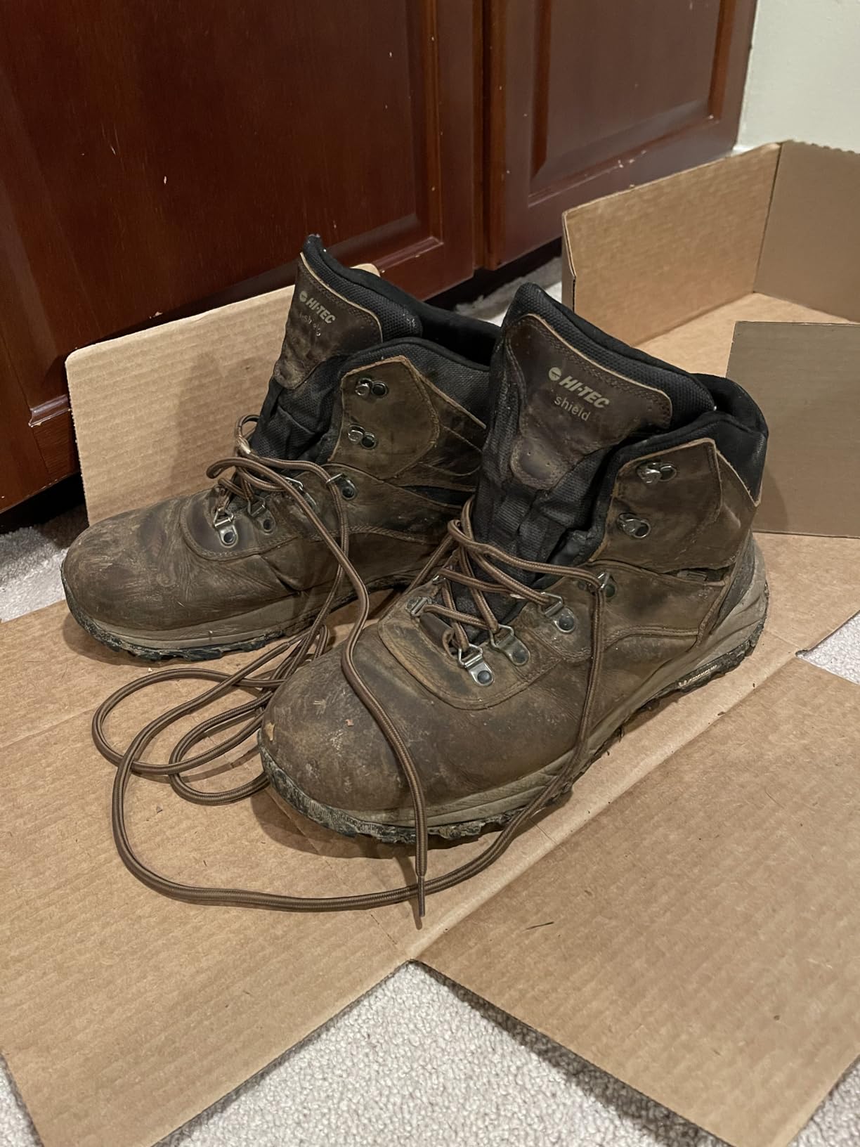 HI-TEC Men's Altitude VI I Waterproof Leather Hiking Boots - Black or Brown, Medium or Extra Wide customer photo 1