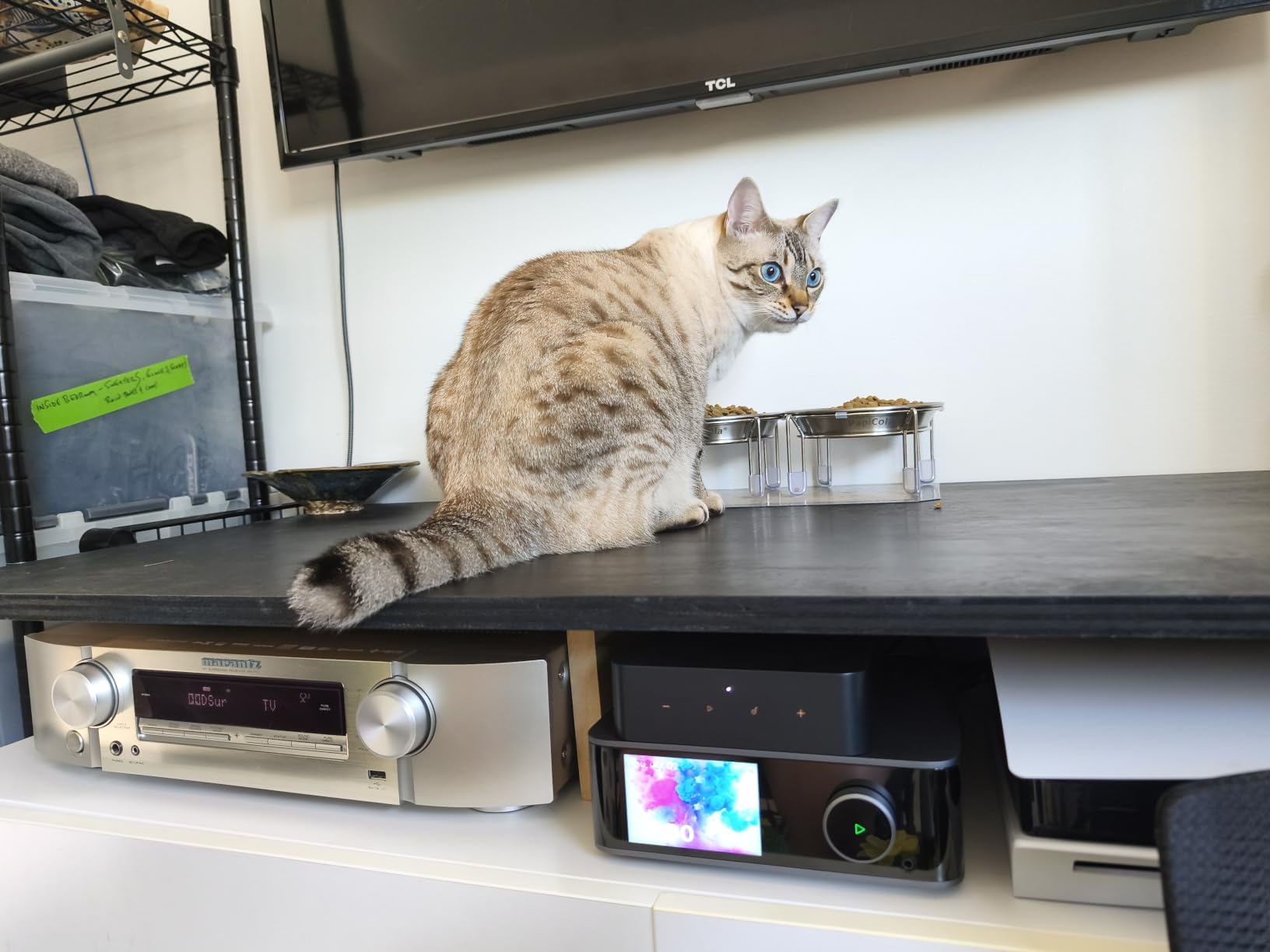 WiiM Pro Music Streamer to Upgrade Stereo with AirPlay 2, Spotify Connect customer photo 1