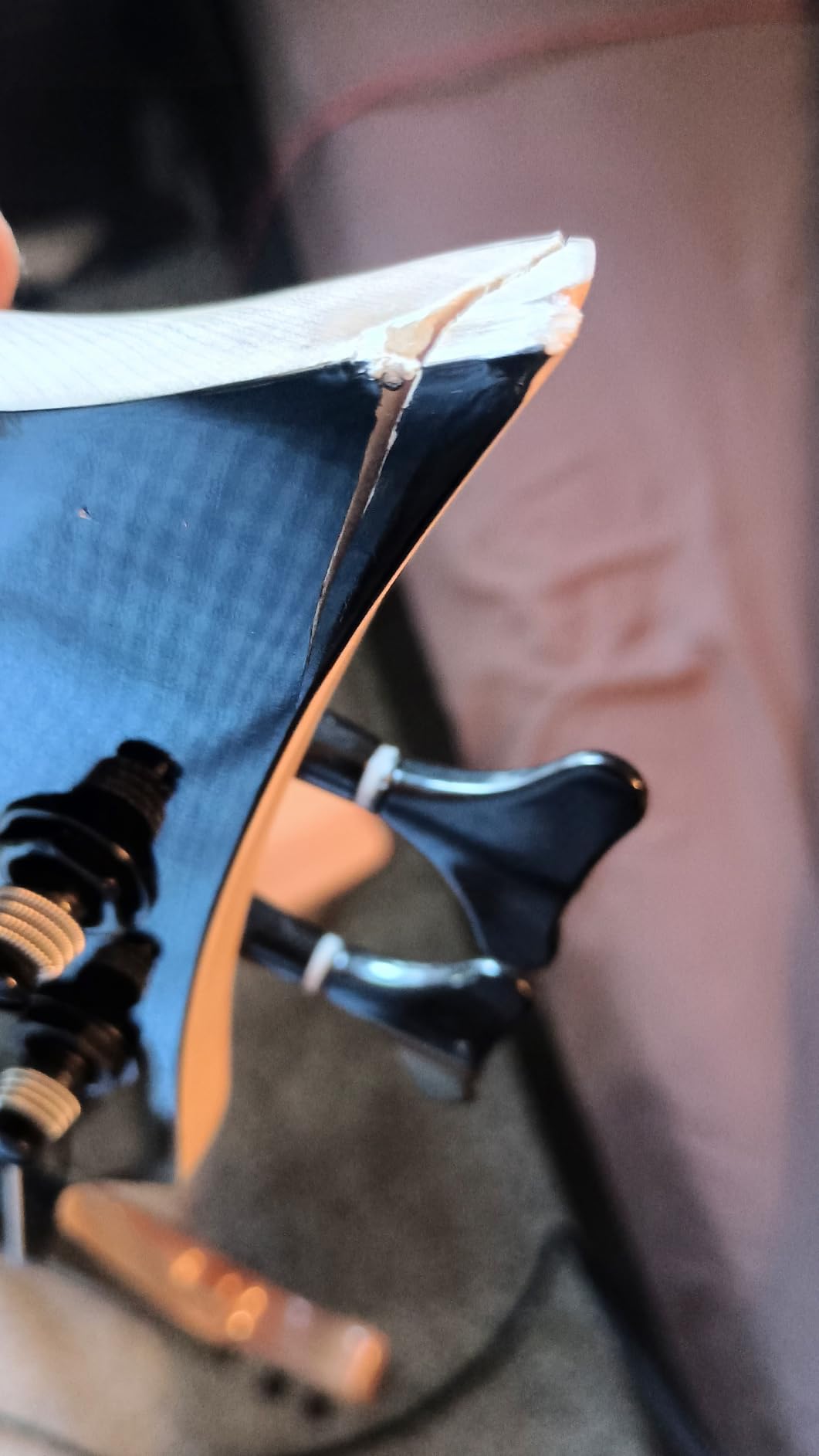 TARIO Fretless 5 String Electric Bass Bolt_On Maple Neck,basswood Body customer photo 1
