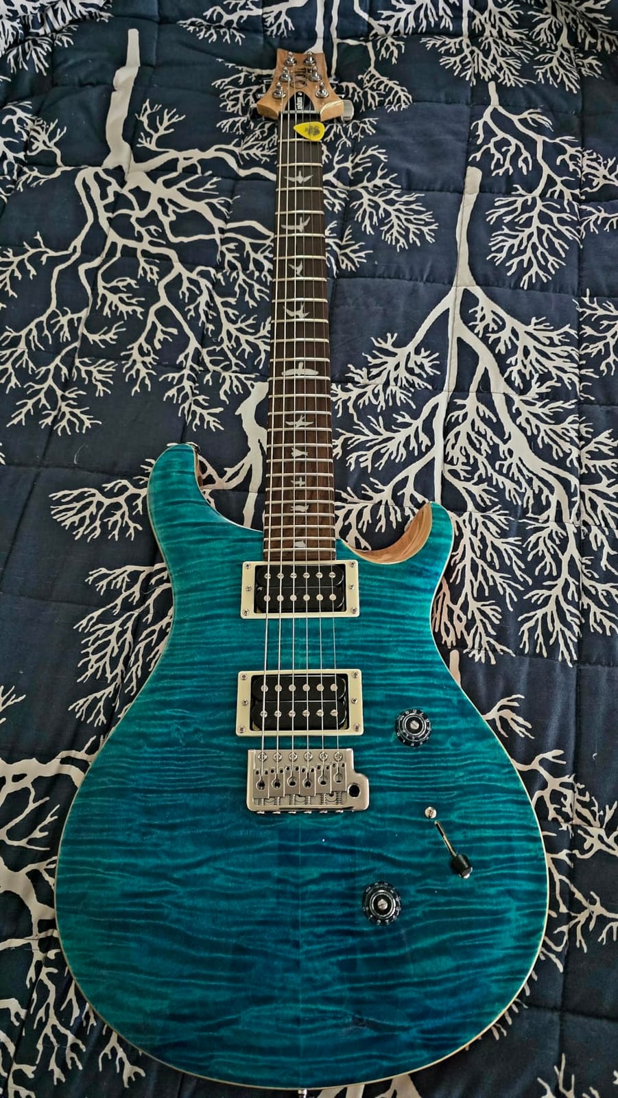 PRS SE Custom 24 Exclusive with Gig Bag, Vintage Yellow customer photo 1
