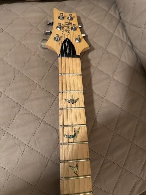 PRS SE Swamp Ash Special Electric Guitar, Charcoal with Gigbag customer photo 2