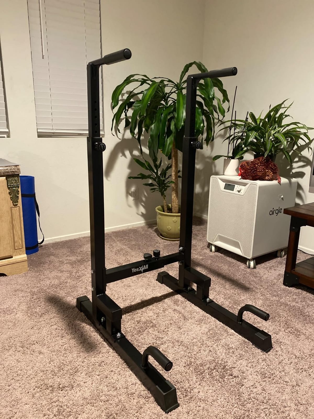 Yes4All Dip Stand 500 LBS Capacity, 80 Levels Adjustable Dip Bars, Dip Station Machine for Home Gym customer photo 1