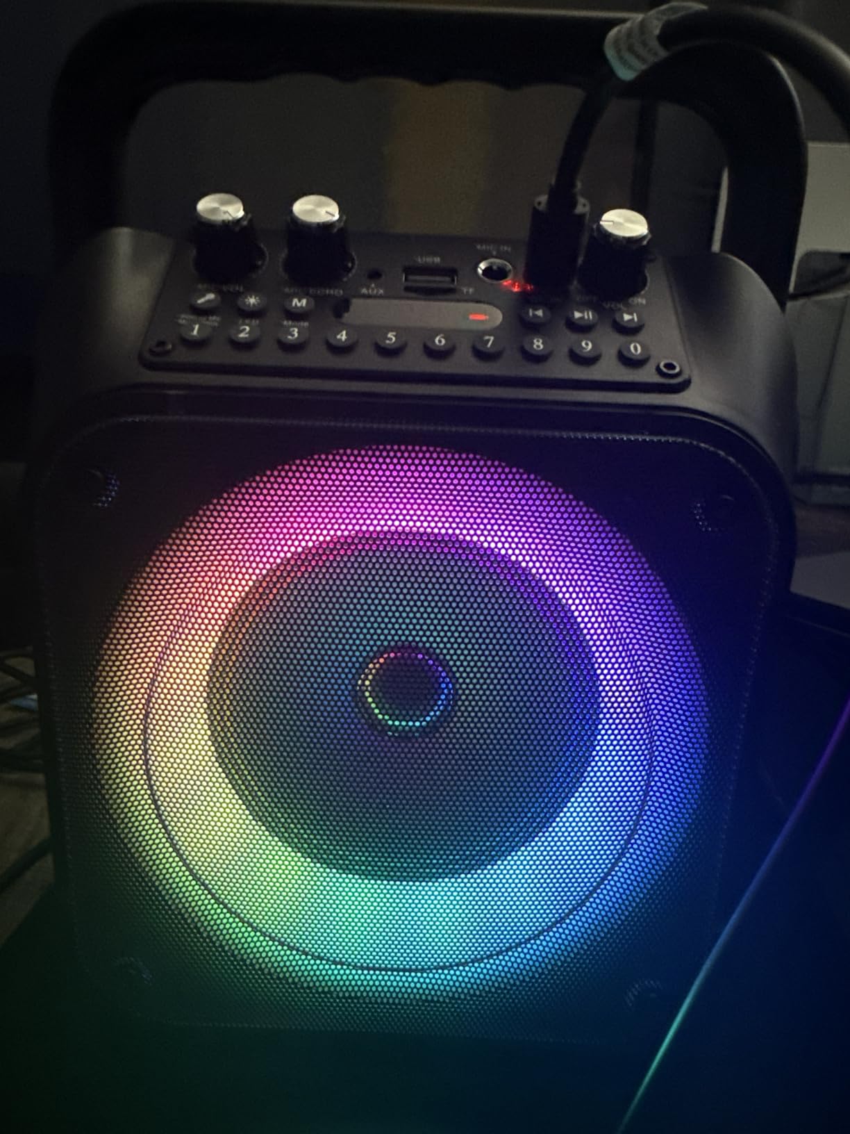 CYY Karaoke Machine, Portable Bluetooth Speaker with 2 Wireless Microphones customer photo 1