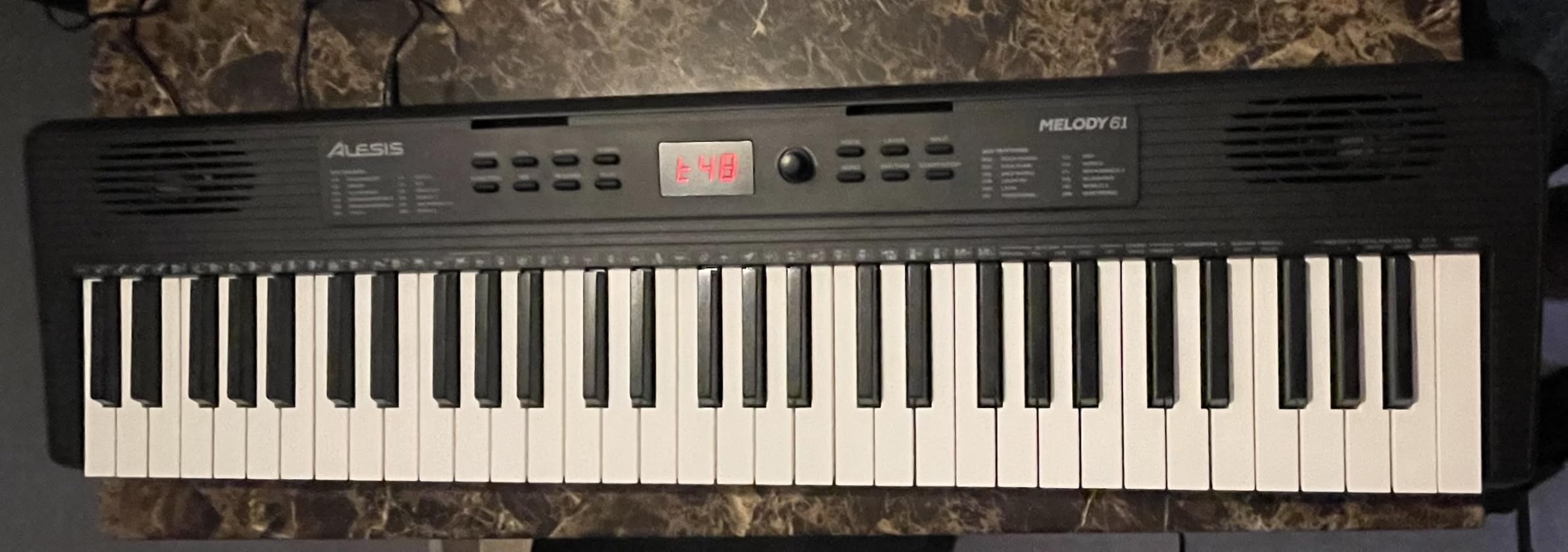 Alesis Melody 61 MK4 61-Key Piano Keyboard customer photo 2