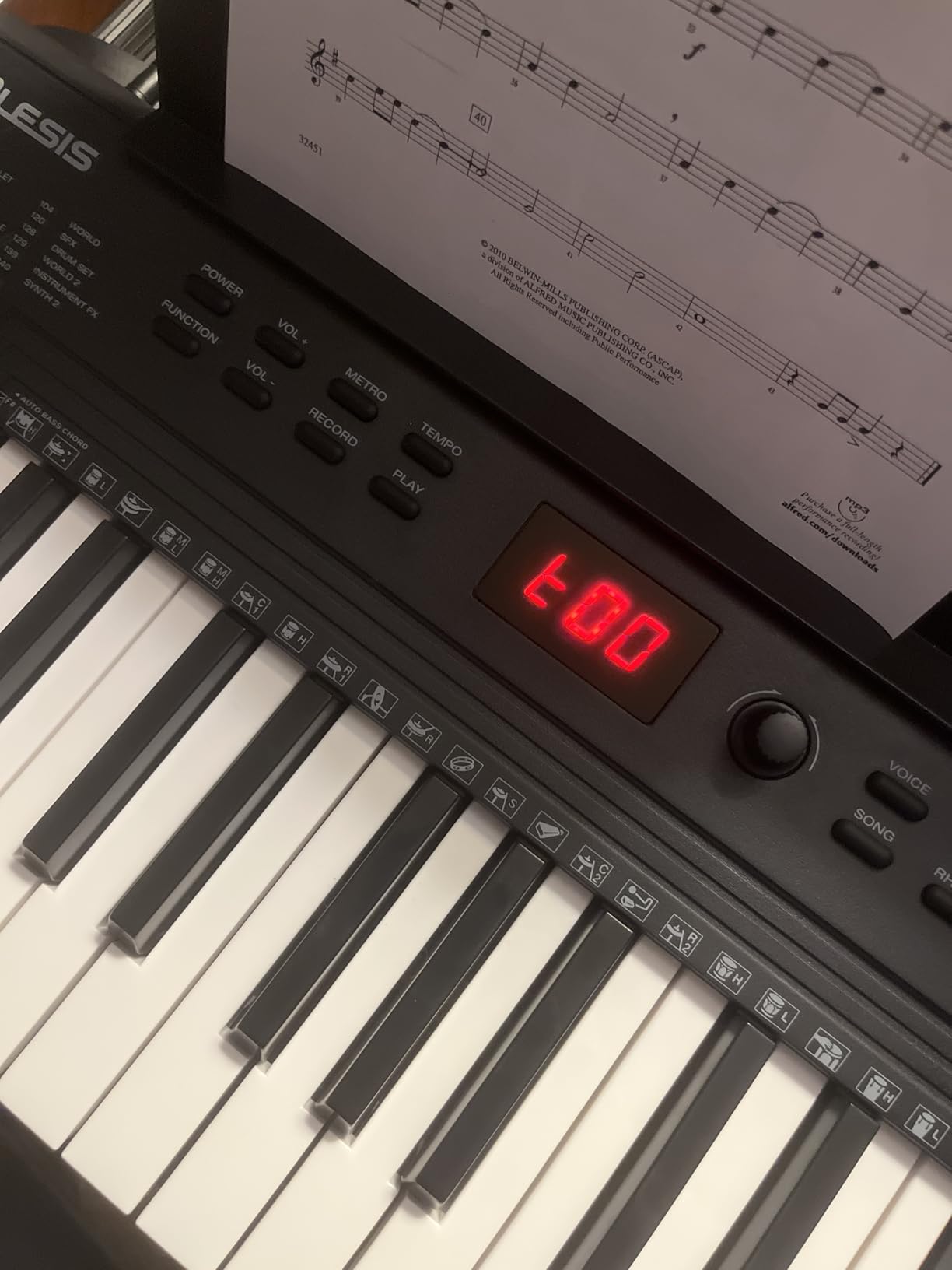 Alesis Melody 61 MK4 61-Key Piano Keyboard Bundle customer photo 2