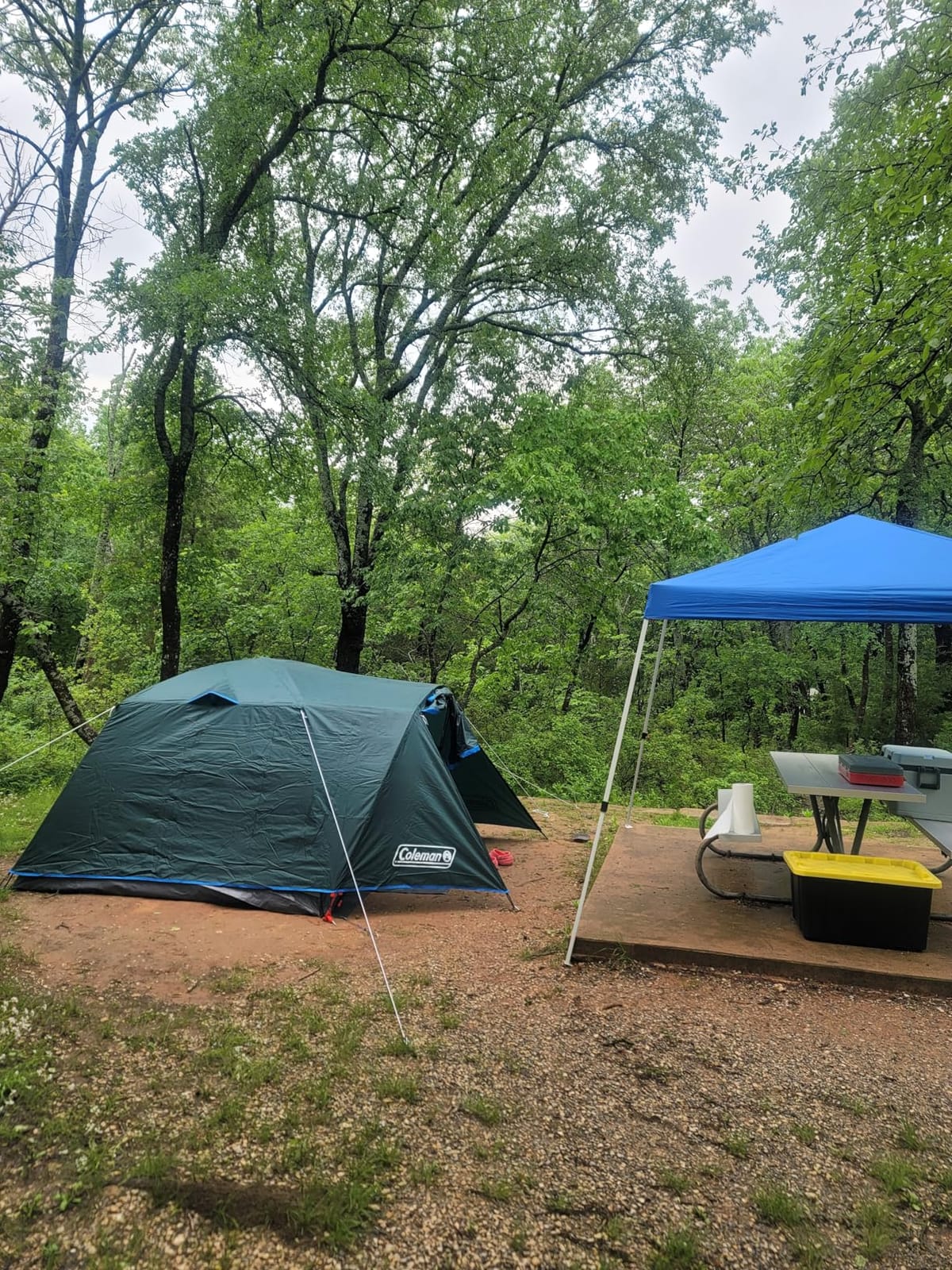 Coleman Skydome Tent with Full-Fly Weather Vestibule, Weatherproof 4/6 Person Tent Sets Up in 5 Minutes & Protects from Water, 20% More Headroom Than Traditional Shelters customer photo 2