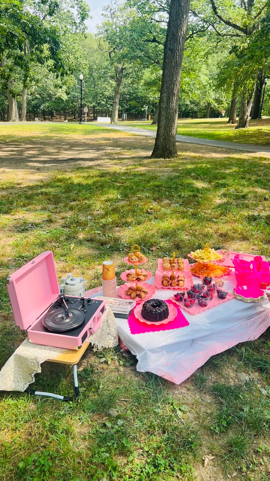 Vinyl Record Player 3-Speed Bluetooth Suitcase Portable Belt-Driven Record Player with Built-in Speakers RCA Line Out AUX in Headphone Jack Vintage Turntable,Pink customer photo 2