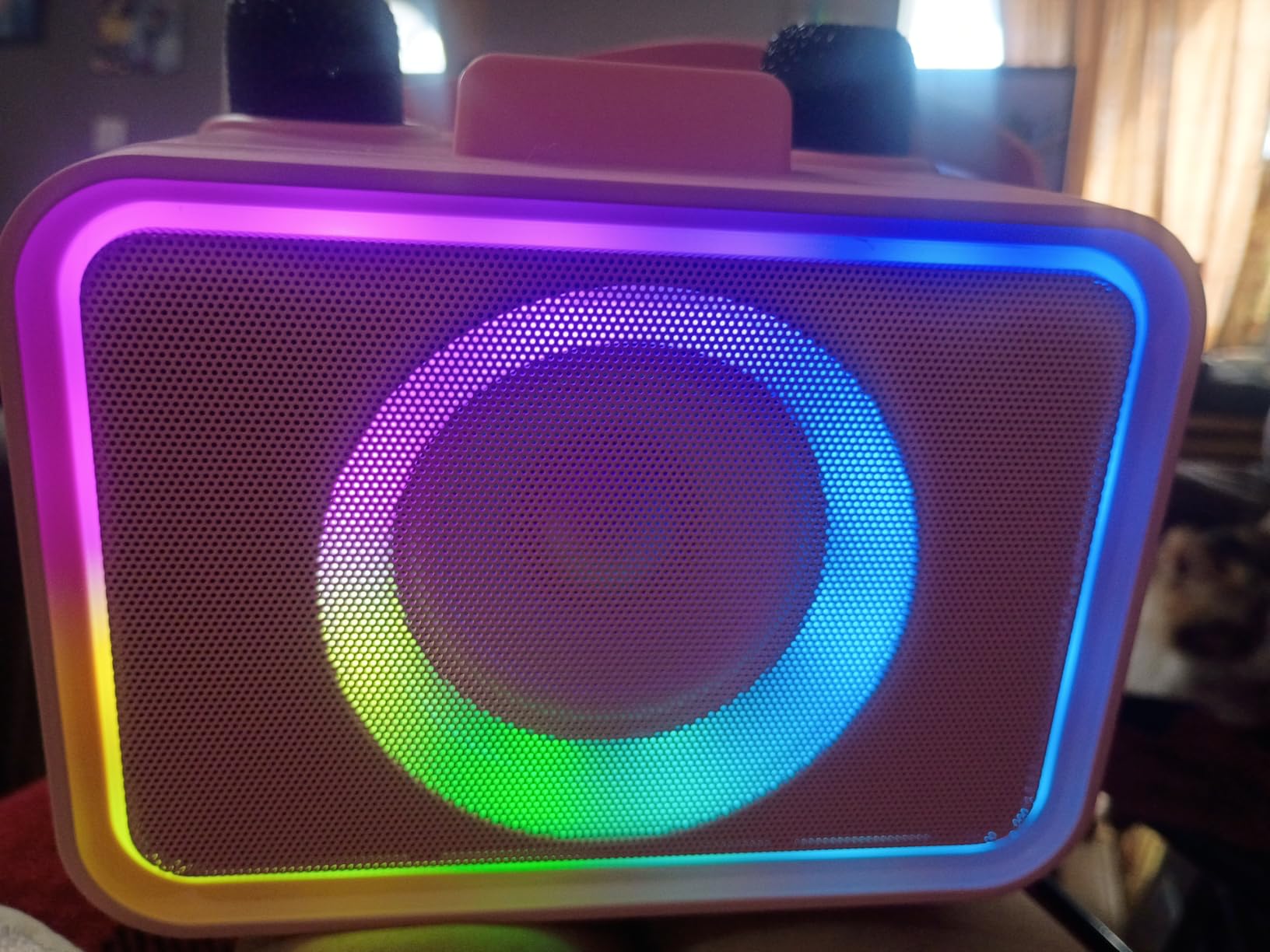 Karaoke Machine for Kids Adults,Bluetooth Speaker 2 Wireless Microphones customer photo 1