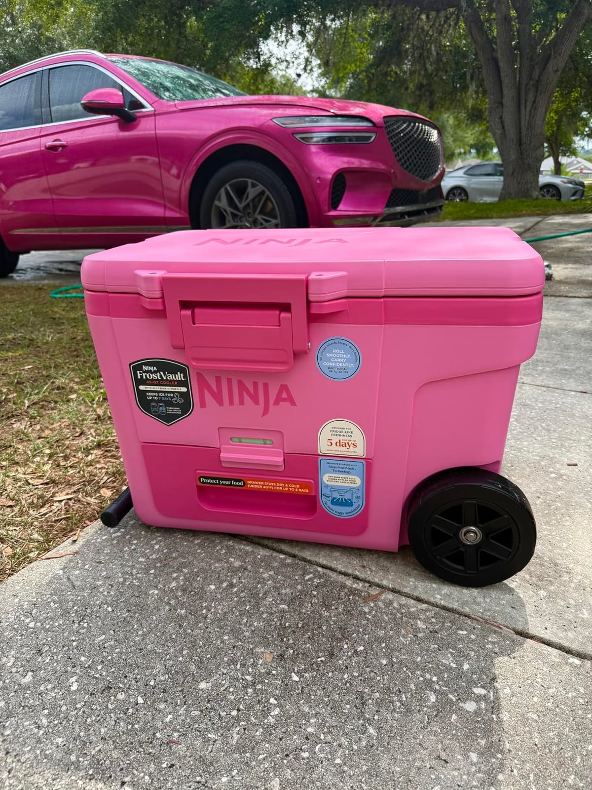 Ninja FrostVault™ 65qt Cooler with Wheels, Dry Storage, Spanish Moss customer photo 1