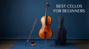 Best Cellos for Beginners