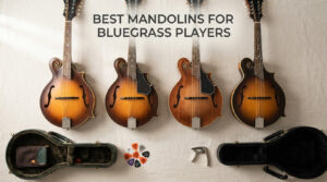 best mandolins for bluegrass players