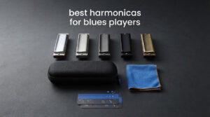 best harmonicas for blues players
