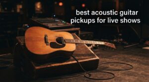 best acoustic guitar pickups for live shows