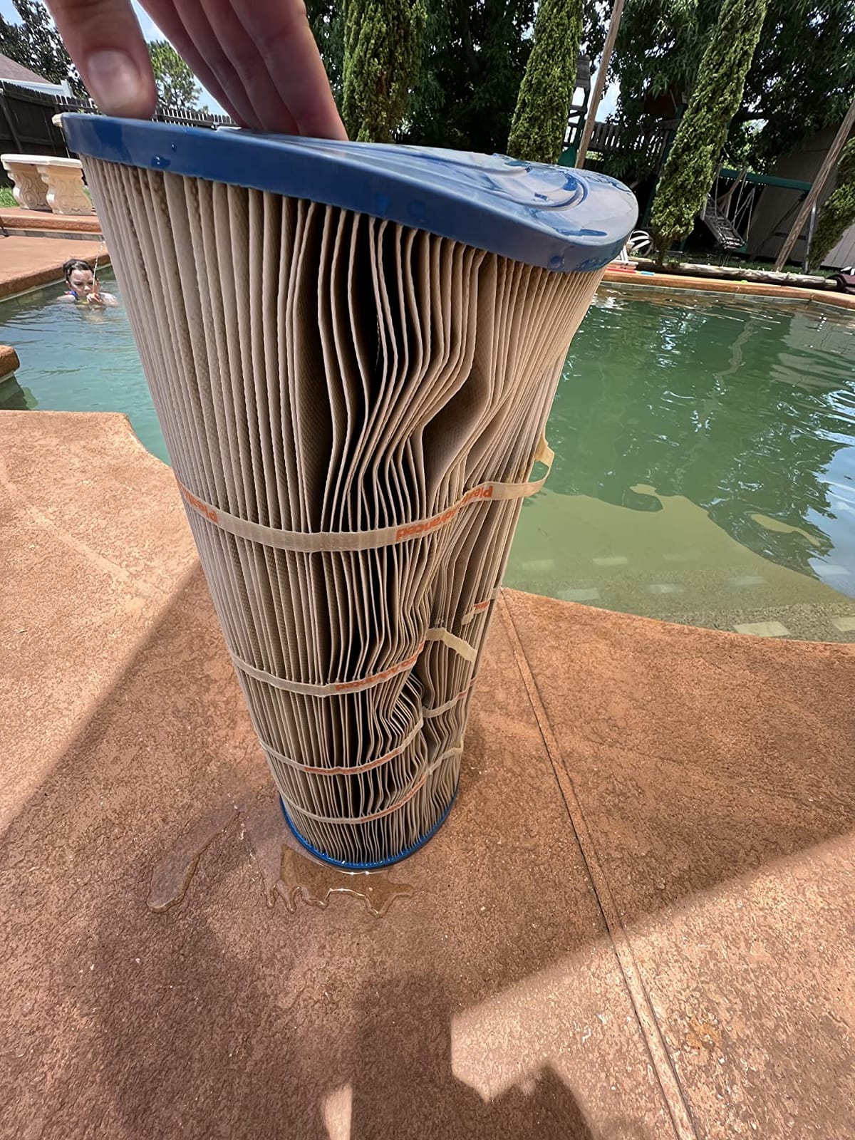 Pleatco PA120 Pool Filter Cartridge Replacement for Unicel: C-8412, Filbur: FC-1293, OEM Part Numbers: CX1200-RE customer photo 1