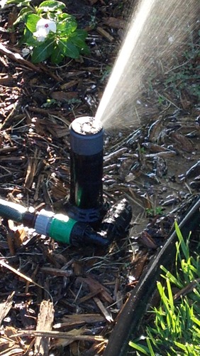 QSK-745 In-Ground 5-Inch Pop-Up Adjustable Sprinkler 5-Pack With Quick Hose Connectors And Splitters customer photo 2
